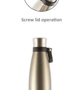 BOTELLA TERMICA GRIS 500 ML – THERMOS